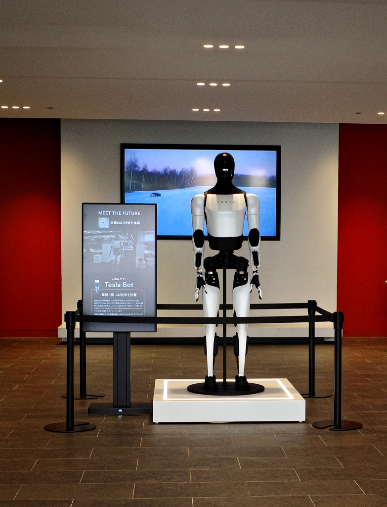 Tesla Bot 