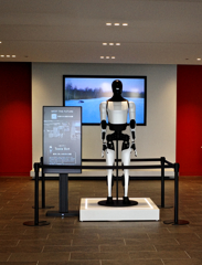 Tesla Bot 