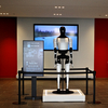 Tesla Bot 
