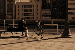 夕方の中之島　ベンチで仕事