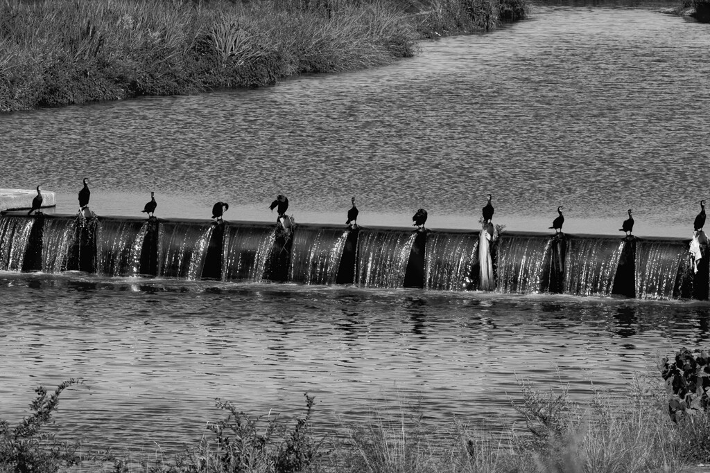 11人の侍