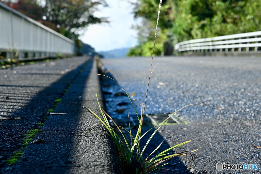 雨上がり　湖畔道