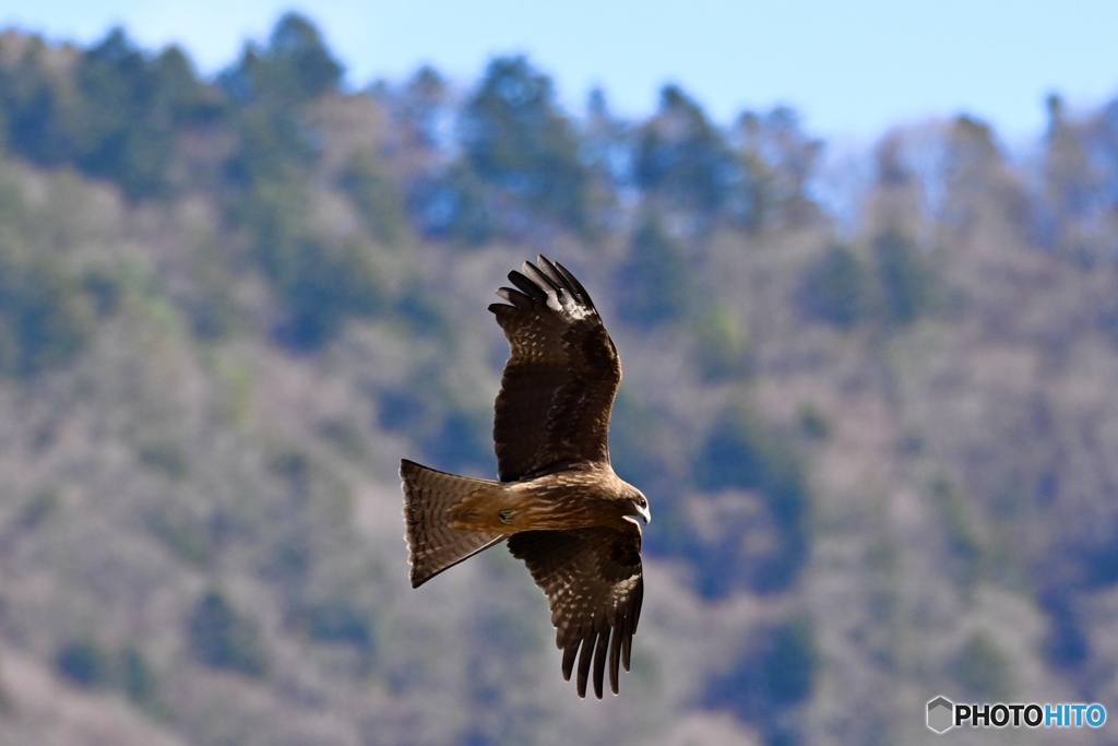 この子が練習に付き合ってくれました♬