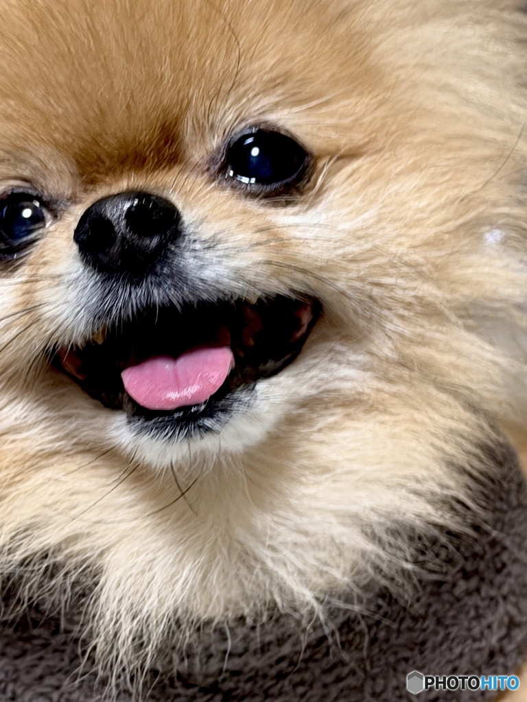 ちっぷのお鼻 どーんッ！！