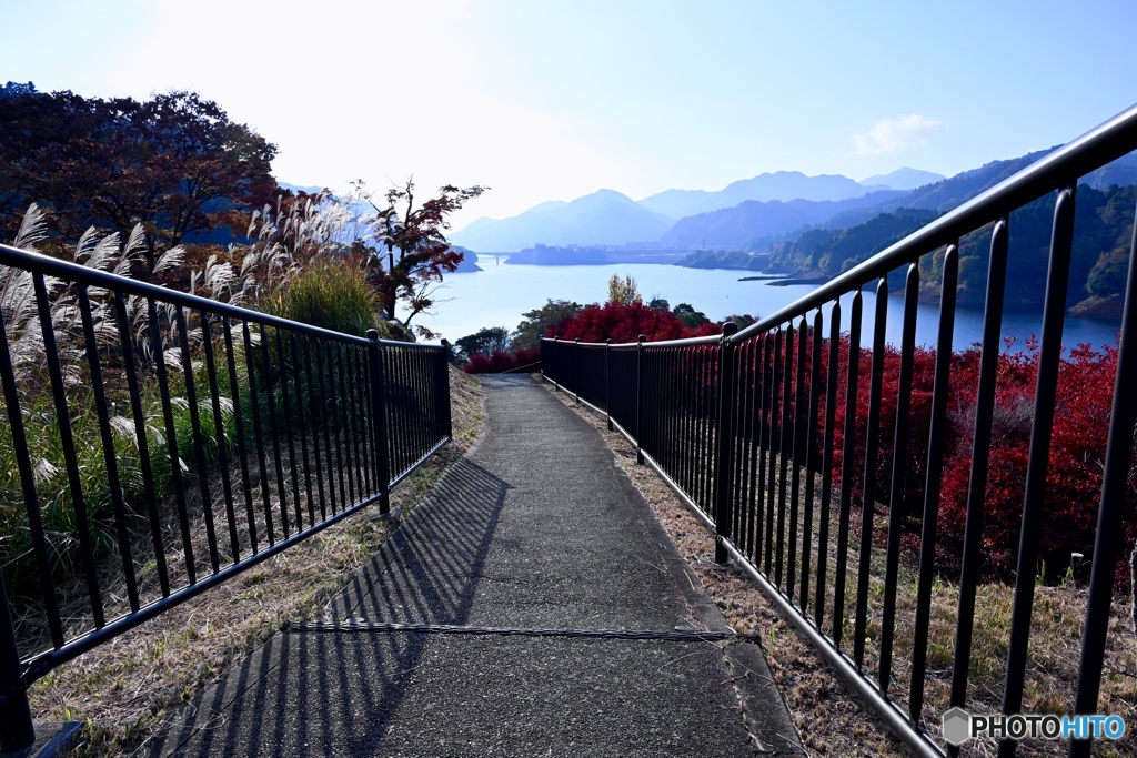 湖畔へと続く小道