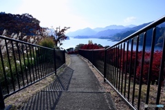 湖畔へと続く小道