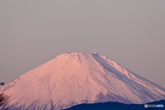 朝陽を浴びる富士
