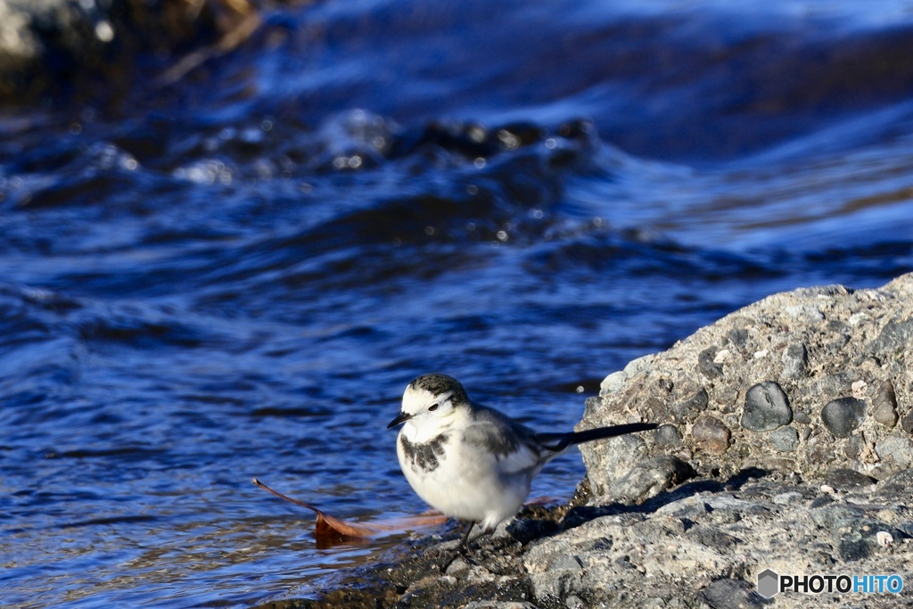 平瀬でこんにちわ♪