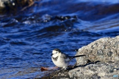 平瀬でこんにちわ♪