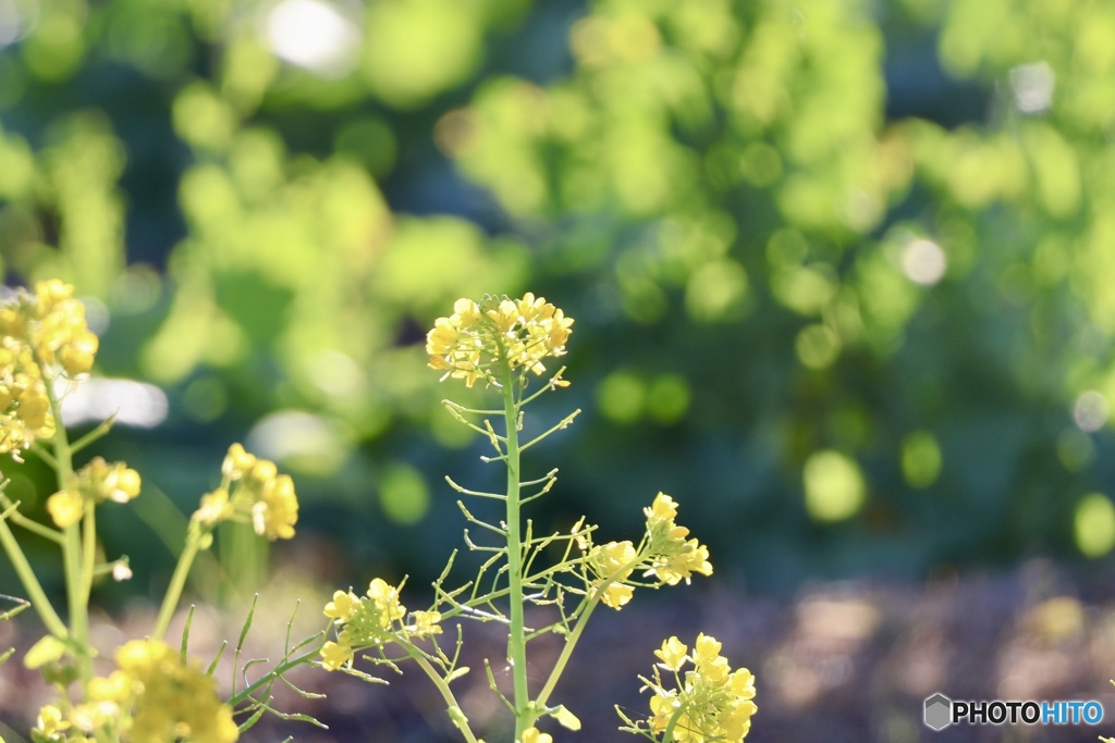 皆さんに感謝！！