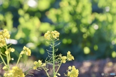 皆さんに感謝！！