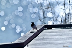 冬の光が降る方角