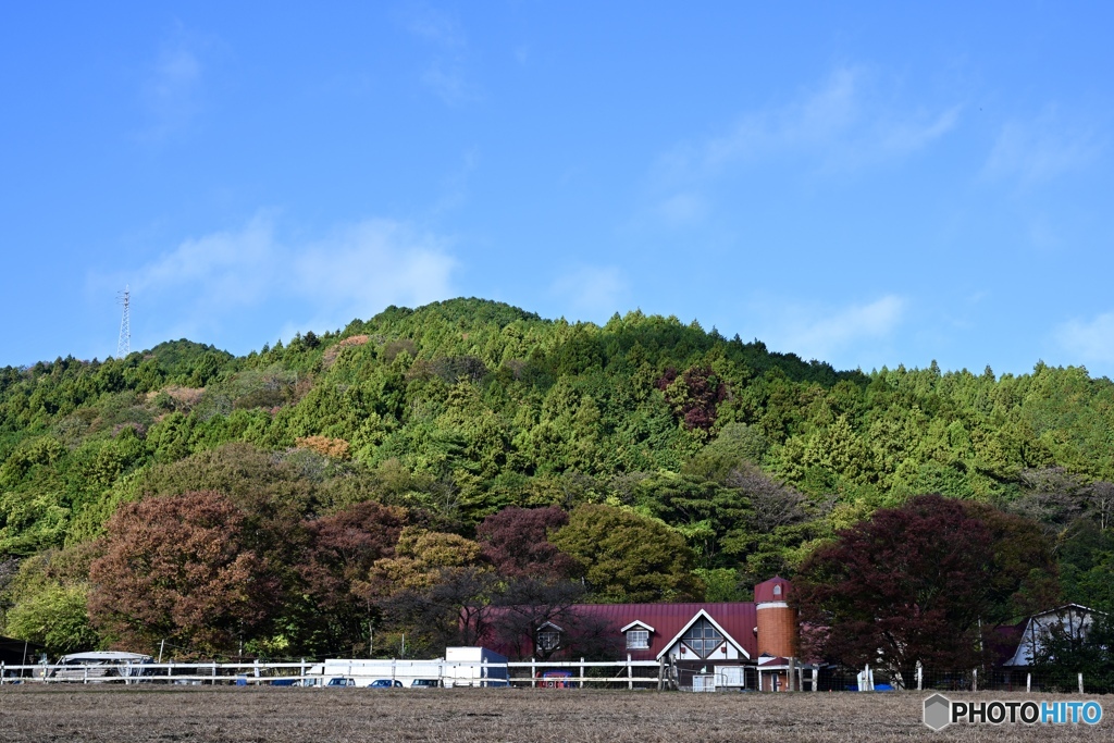 まだ控えめな秋色、牧場の朝