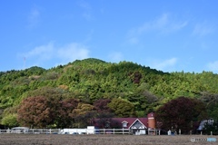 まだ控えめな秋色、牧場の朝