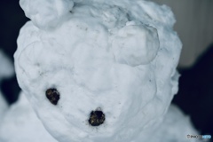 白いポメラニアン