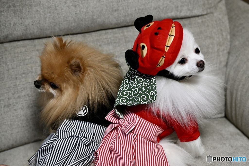 ちんねん、あけまちて、おめでとうごじゃいまちゅ♬