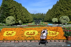 ハロウィーン