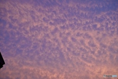 夕暮れの空に上手に描かれた模様