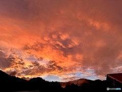 夕焼け雲の真ん中に肉球出現