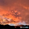 夕焼け雲の真ん中に肉球出現