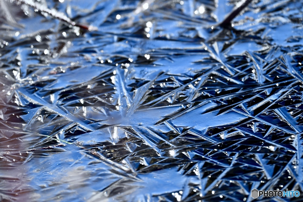 冬将軍がつくった芸術