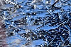 冬将軍がつくった芸術