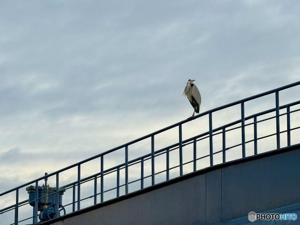 水管橋に立つハンサム
