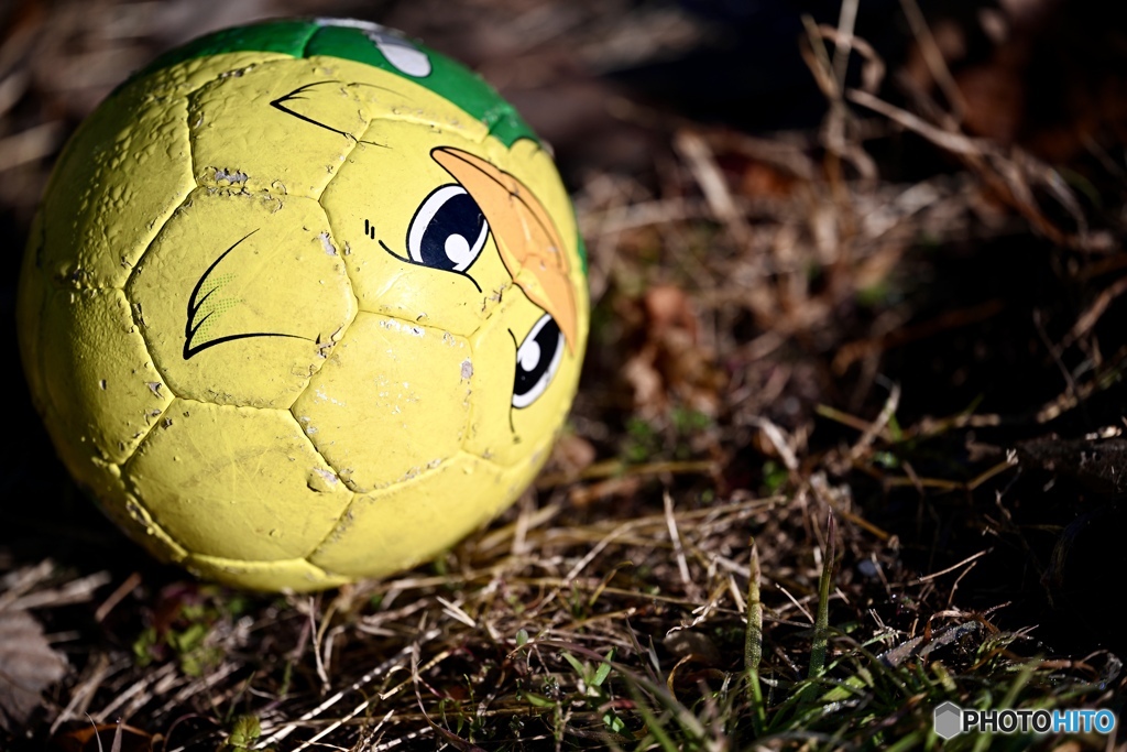 日曜日の忘れ物