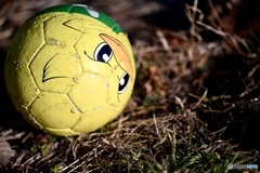 日曜日の忘れ物