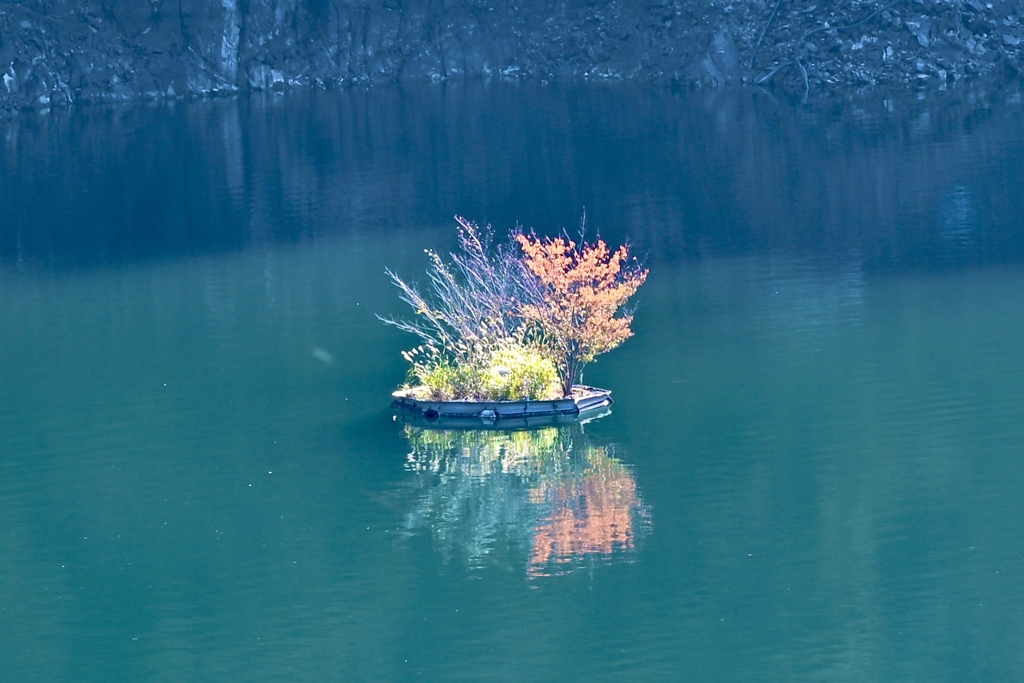 緑色の湖上に、小さい秋