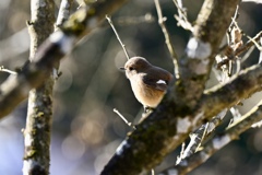 また会えました！