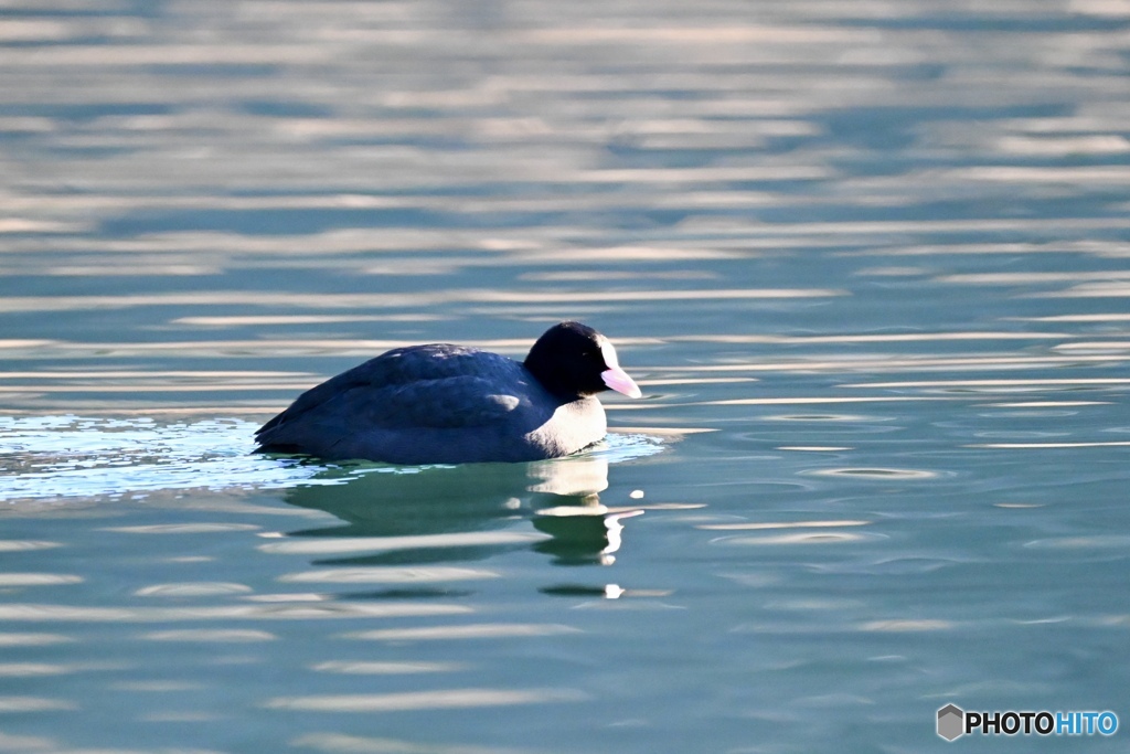 光が溶け込む緑色の水辺