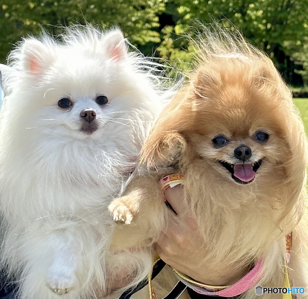 あたたかいコメントをくださった皆さん、本当に本当にありがとうございました