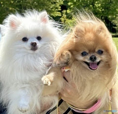 あたたかいコメントをくださった皆さん、本当に本当にありがとうございました