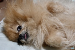 呼んだ？