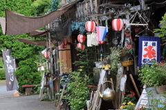 夏らしい佇まい