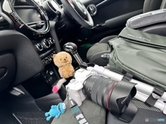 撮りに行ってきます♬