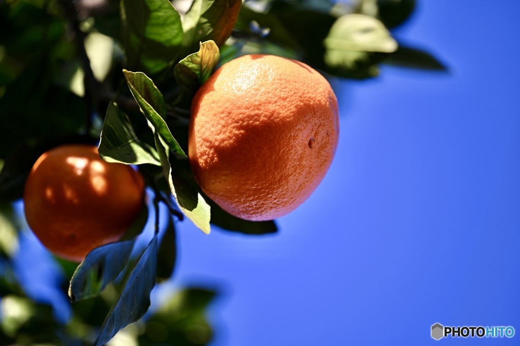 青空とオレンジ色