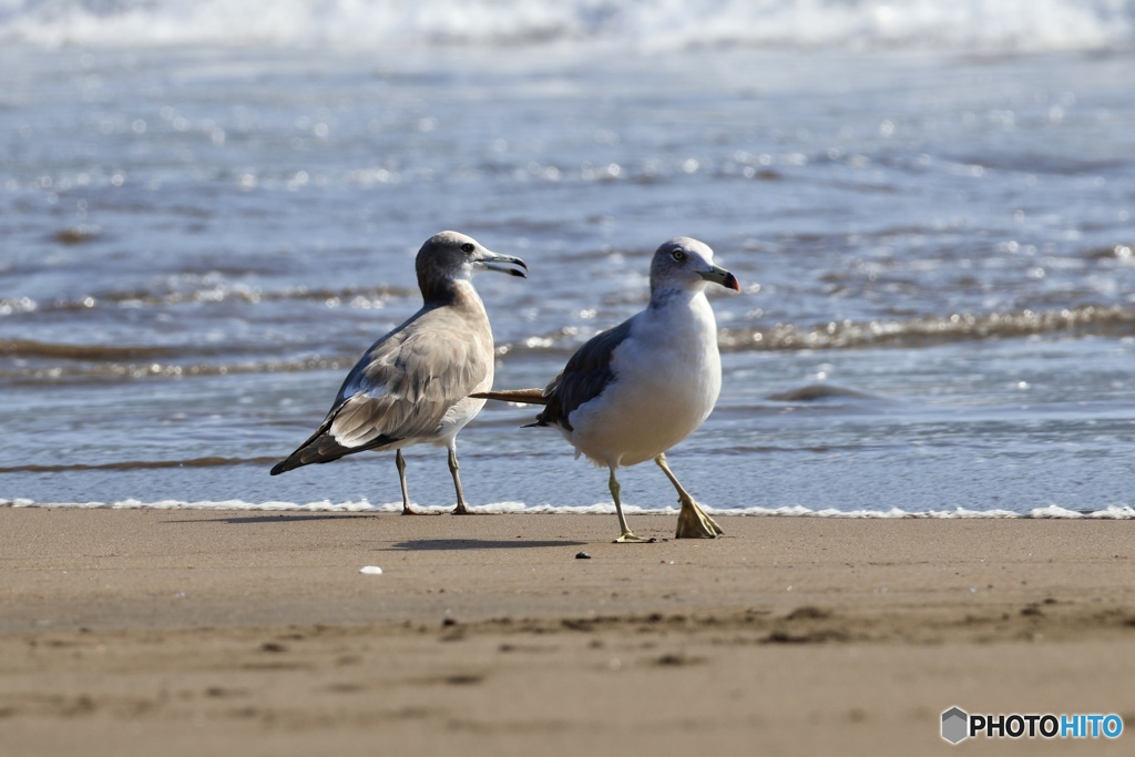 年の瀬に思い出す、2025の夏