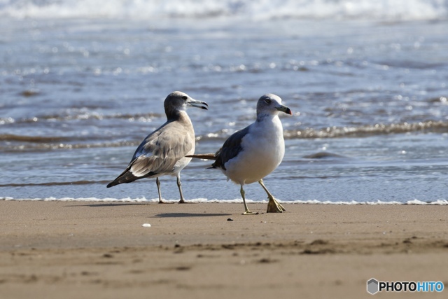 年の瀬に思い出す、2025の夏