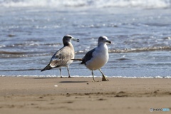 年の瀬に思い出す、2025の夏