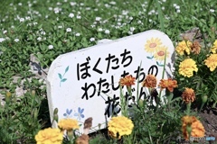 みんなの花だん
