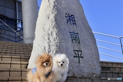 海辺のお山にて♬