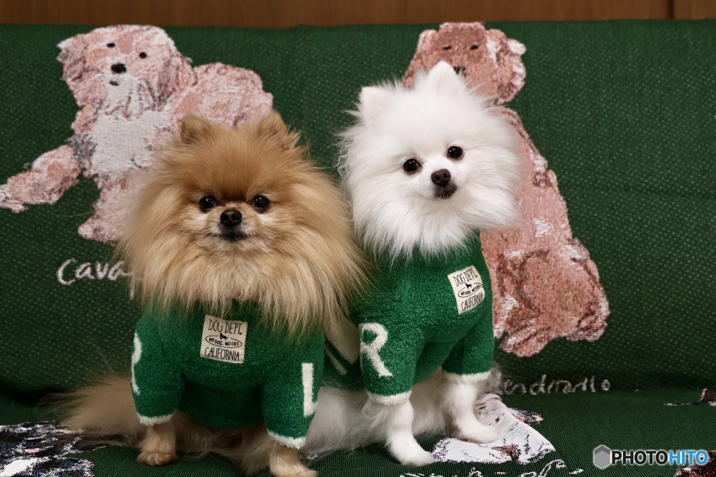 ピーコさーん！ファッションチェックお願いしまーす