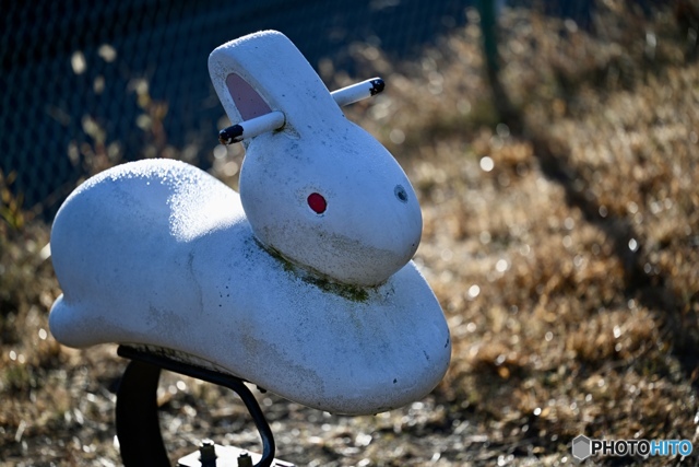 冬枯れ、日曜日の小さな公園にて