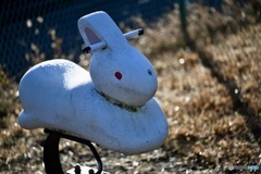 日曜日の小さな公園にて