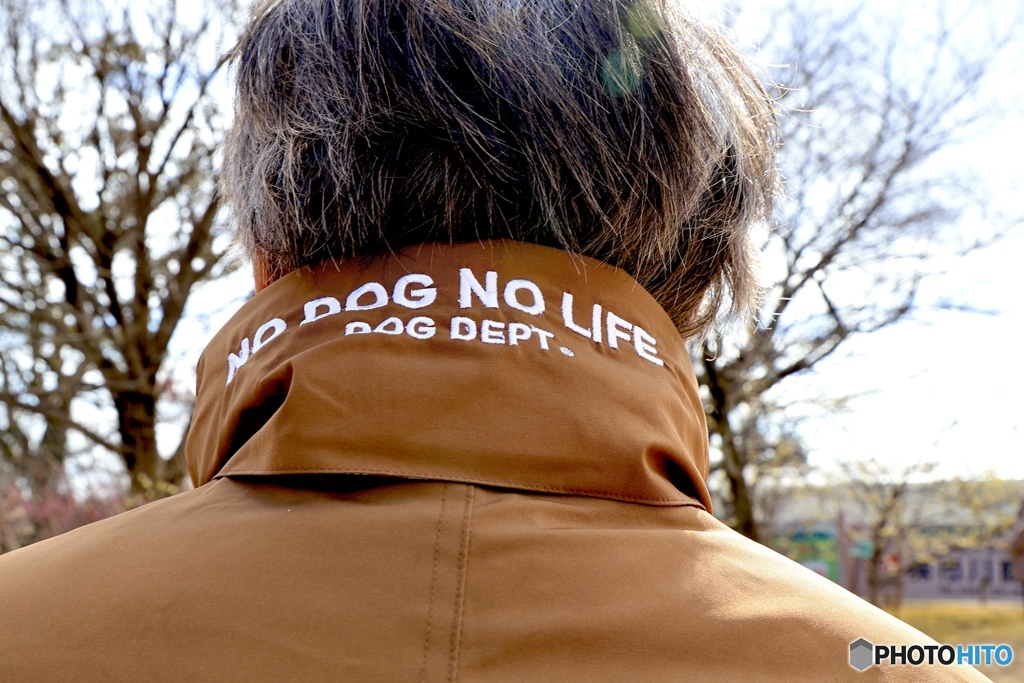 NO DOG   NO LIFE