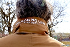 NO DOG   NO LIFE