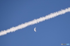 スラッシュ MOON