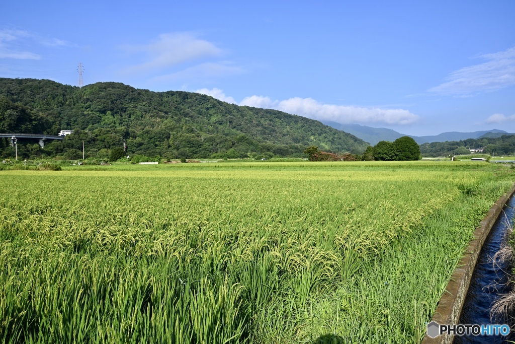 涼しげに感じる風景